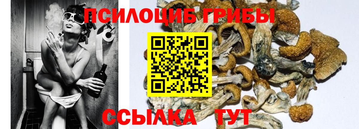Саров  Псилоцибиновые грибы мухоморы  где продают   Вход с VPN 